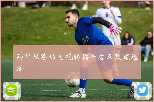 西甲联赛的电视转播平台及频道选择