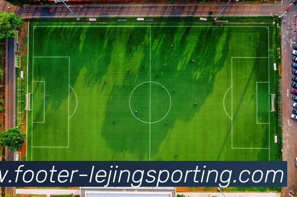 乐竞体育平台生态图